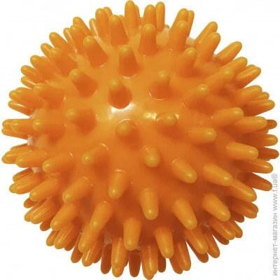  Sveltus  ,  ,  ,   Medium, 8  (SLTS-0454-0)