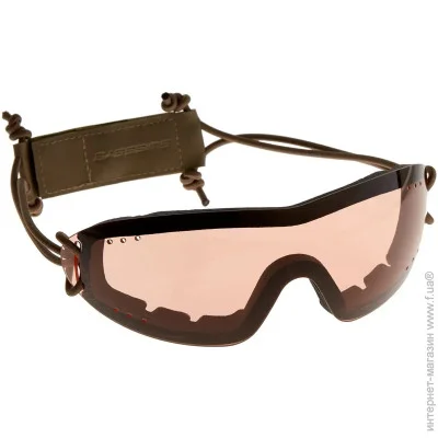 Swiss Eye   Infantry