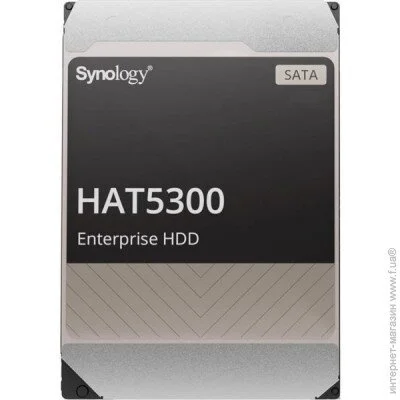   Synology HAT5300 12 TB (HAT5300-12T)