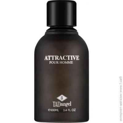    TADangel Attractive Pour Homme 100 