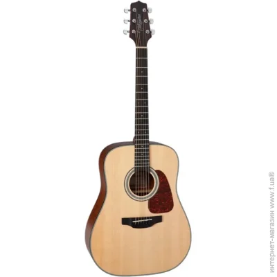  Takamine   TAKAMINE GD10 NS