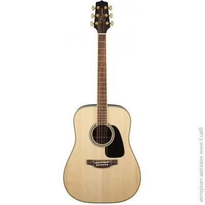   Takamine   Takamine GD51-NAT