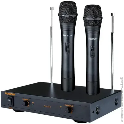        Takstar TS6310