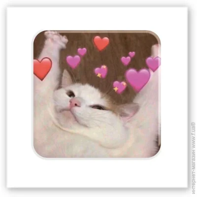 Tattooshka  3D 3D- "Cat love