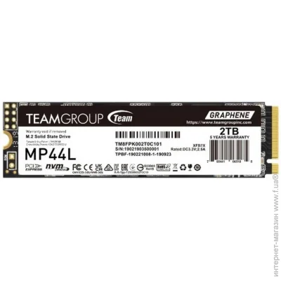 SSD Team Group MP44L 2TB (TM8FPK002T0C101)