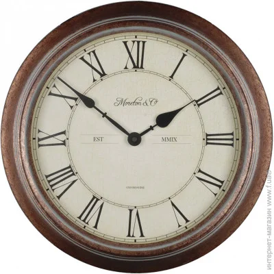   Technoline   Technoline WT7006 Brown (WT7006)     ()  