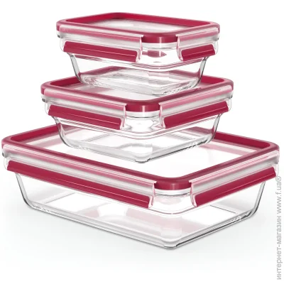   Tefal      Master Seal 3  N1050910