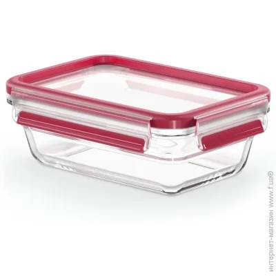   Tefal    MasterSeal Glass  700  N1040610