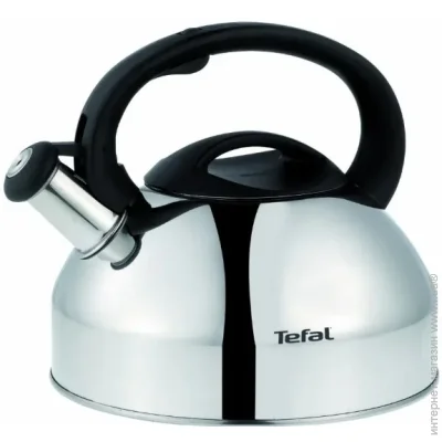    Tefal, 2.5,  , ,  (N4180217)