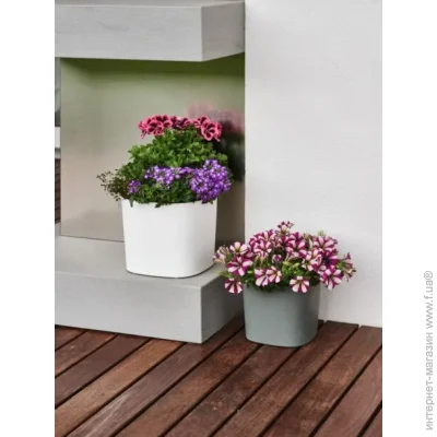  Teraplast   CAPRI 24   7,5  - (38711024271)
