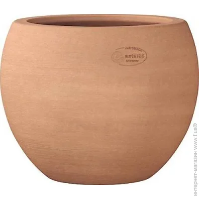  Terraneo   Dego 700108  27  