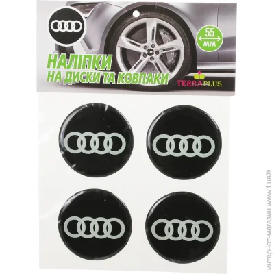   Terraplus - Audi 55  (4 .)