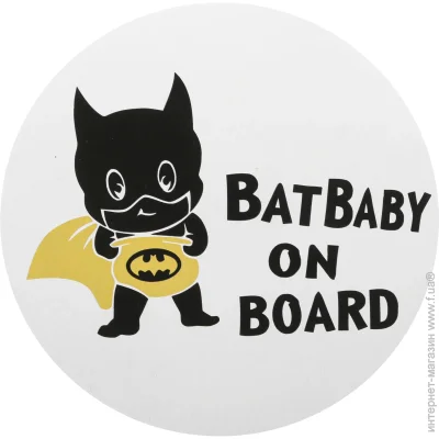Terraplus  BatBaby on board