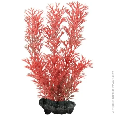 Tetra   DecoArt Plant Gr.Cabomba 23 