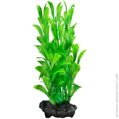 Tetra HYGROPHILA DecoArt Plant S 15    (4004218817869)