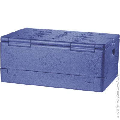  Thermo   Cooler Box 39  (4823082715633)
