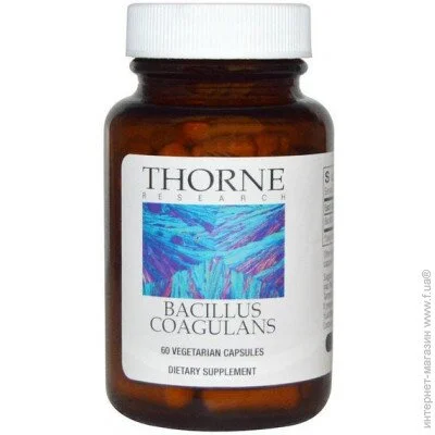  Thorne Research Bacillus Coagulans 60 Veg Caps (000005429)