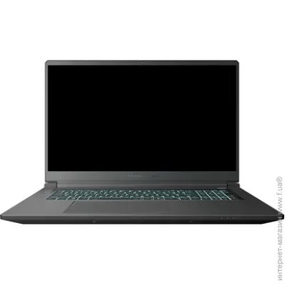  Thunderobot 911 X17 (911X17-i7136H56C1Q165MBD)