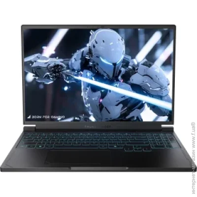  Thunderobot RS16 (RS16-i9139HX57TC1Q240ARB1)
