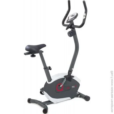 Toorx Upright Bike BRX 35 (929777)