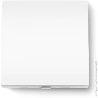 TP-LINK Tapo S210