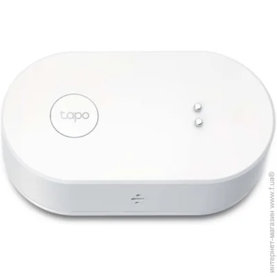  TP-LINK Tapo T300