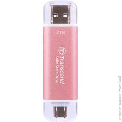 SSD Transcend ESD310P 1 TB (TS1TESD310P)