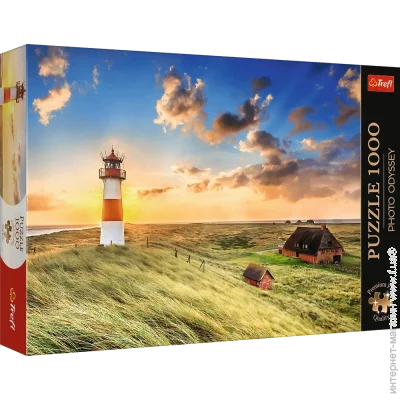   Trefl  :  -  (10823)