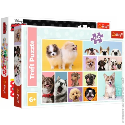   Trefl     +   (16387_15412)