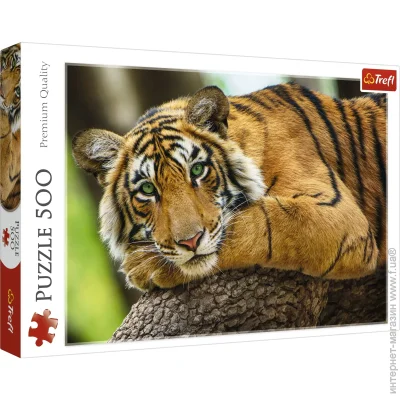   Trefl   (37397)