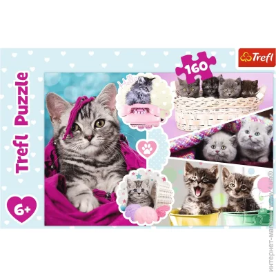   Trefl   (6336330)