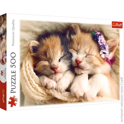 Пазл класичний, підлоговий Trefl 72717 Trefl Пазли "500" Сплять кошенята (5900511372717) Пазл класичний, підлоговий Trefl 72717 Trefl Пазли "500" Сплять кошенята (5900511372717)