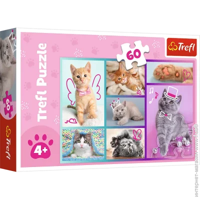  ,  Trefl 73734 Trefl  "60"   (5900511173734)