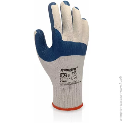Trident  L1011    XL (10) L1011