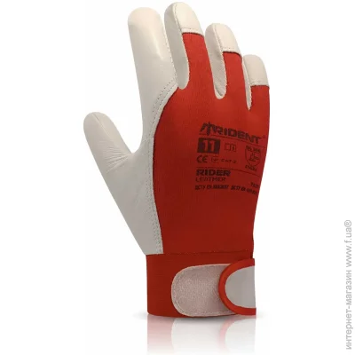 Trident  RIDER    2XL (11) 7621
