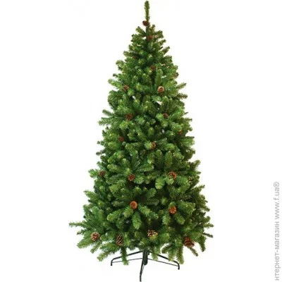  Triumph Tree  Empress 2.15, 