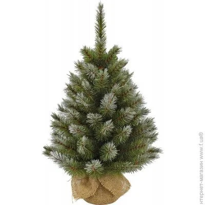 Triumph Tree  Pittsburgh 0.6, 