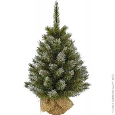Triumph Tree  Pittsburgh 0.9, 