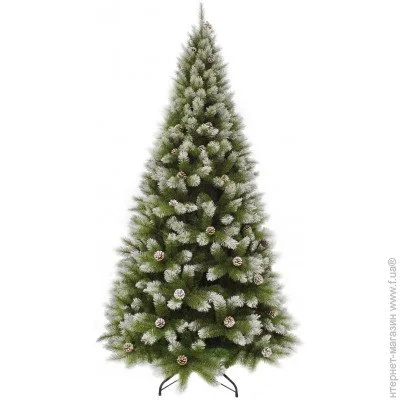 Triumph Tree  Pittsburgh 2.6, 