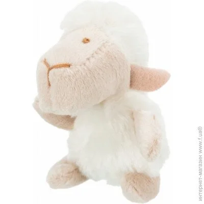 Trixie   ,  , 10  (139331)