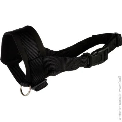 Trixie -  L 18-30 /16-28 