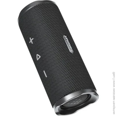  Tronsmart Mirtune C3 Black