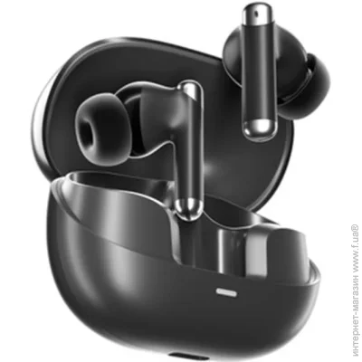 Tronsmart  Sounfii R4 black (1096447)
