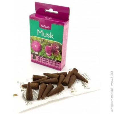 Аромаконусы Tulasi Аромат для дому Муск Пилковий пахощі Конуси (35020) Аромаконусы Tulasi Аромат для дому Муск Пилковий пахощі Конуси (35020)