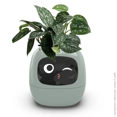     Tuya      Ivy Smart Planter AI Green (2431380474)