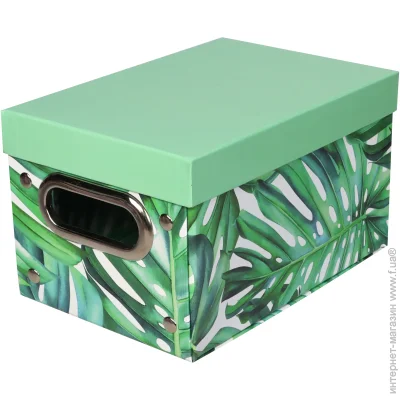 Union Vis    CN240426-4  Leaf 250x490x390 