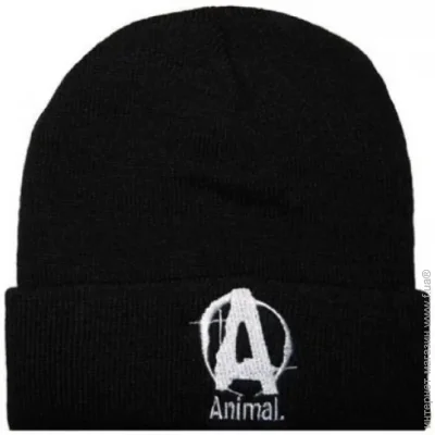  Universal Nutrition Animal (00000015384)
