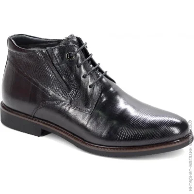 Veritas Shoes    Veritas .39  (2829-39)