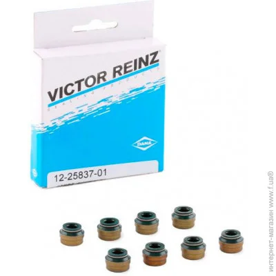   Victor Reinz 12-25837-01