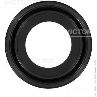   Victor Reinz 81-10459-00 (811045900)